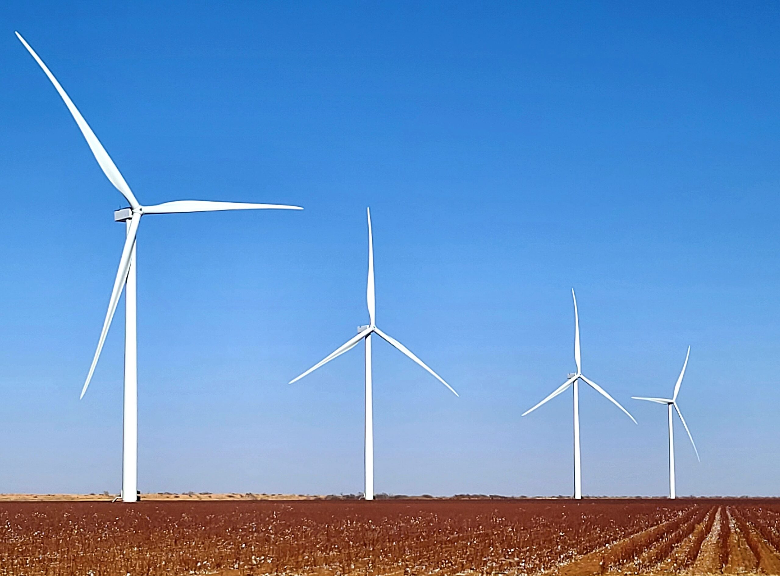 A Look at the Wind Energy Industry in the USA in 2024